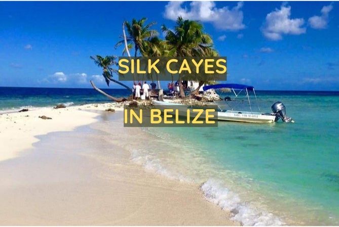 Snorkeling and Scuba Diving the Silk Cayes of Belize