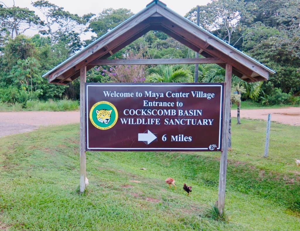 The Cockscomb Basin and Jaguar Reserve