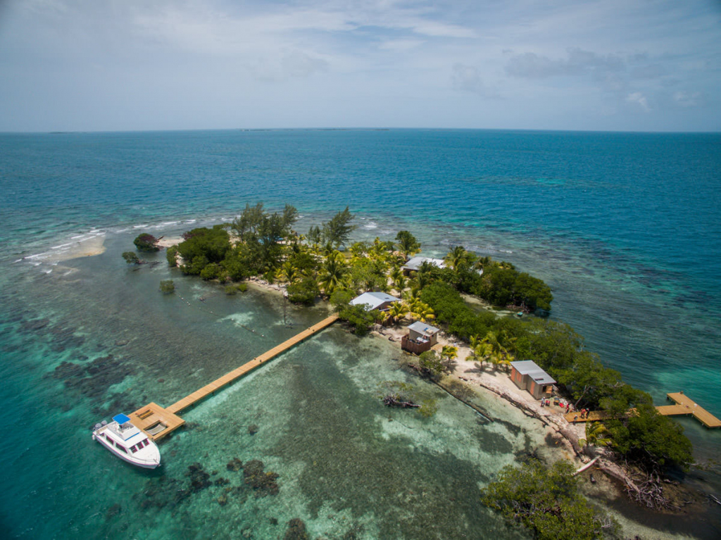 coral caye at turtle best couple destination belize